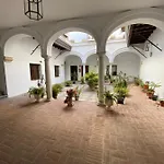 Palomas 15
