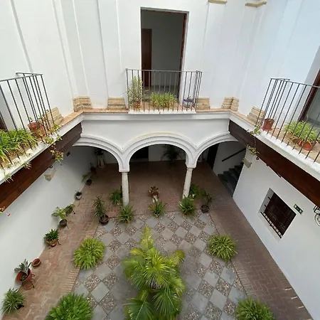 Palomas 15 *